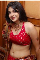 Actress Hot Pics